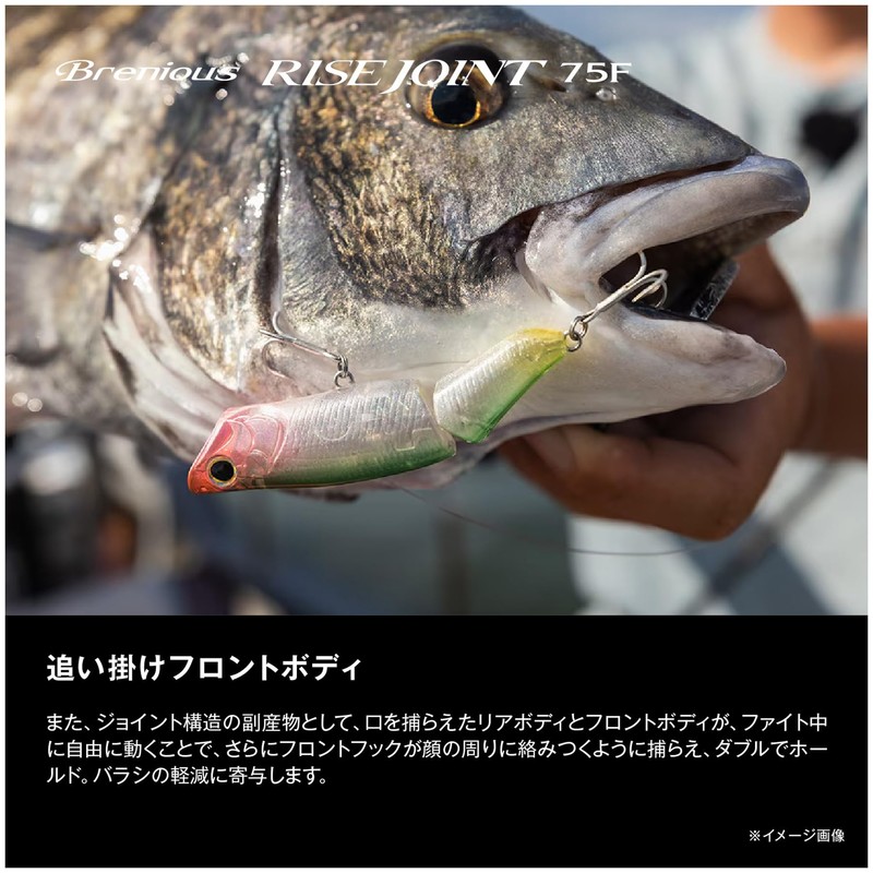 Shimano Black Seabream/Yellowtail Bream Brenias Rise Joint 75F XH-T75Y 002