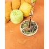 Lemonwood Mini Minder Wrist Yarn Holder Wander (Glow in The