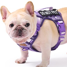 Small Dog No Pull Harness for French Bulldog Puggle Terriers, Pet Harness with Reflective Strip Soft Padded Handle, Adjustable Vest Harness for Walking Hiking Training, Geometric Pattern, Purple, S