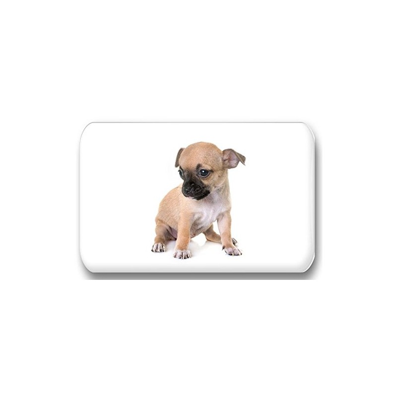 Merchandise for Fans Chihuahua 01 Rectangular Fridge Magnets 5.8 x