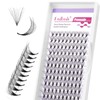 Double Layer Volume Eyelashes Mix 8-14 mm 10D 0.07 mm