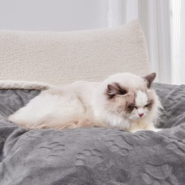 Qeils Dog Blankets for Small Dogs - Waterproof Cat Blanket Washable - Sherpa Fleece Puppy Blanket, Soft Plush Reversible Throw Protector for Bed Couch Car Sofa, 40"X50", Grey