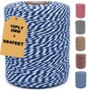 Blue and White Twine String,984ft Christmas Bakers Twine 2MM Heavy