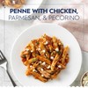 Barilla Penne Pasta, 16 oz. Box (Pack of 12) -