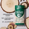 Mitchum Natural dry solid men
