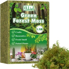 Halatool 1.1LB Green Moss for Potted Plants, 25QT Orchid Moss Potting Mix, Forest Moss for Indoor Plants, Indoor Potting Plant Moss for Repotting Terrariums Garden Reptiles