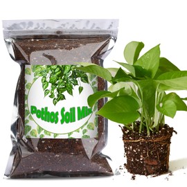 Doter Organic Pothos Soil Mix 1qt, Indoor Plants Potting Mix for All Potted Pothos, Grow Healthy houseplants Indoors
