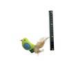 Pet Library CATWANT Cat Toy Catnip (Cat Herb), 2 Pieces
