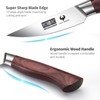 HOSHANHO 9.5cm Coltello per Sbucciare, Coltelli per Frutta Giapponese, Super
