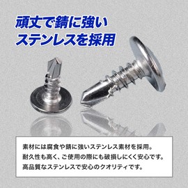 ShopXJ Drill Screws, Drill Biss, Thin Washers, Drill, Screws, Stainless Steel, White, M4.2, Pack of 100 (4.2 x 16)