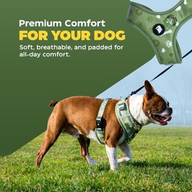 No Pull Dog Harness for Small Dogs, Breathable, Reflective & Easy to Put On with Adjustable Straps, Secure Buckle, and Strong D-Ring for Medium Dog Safer Walks (Green)