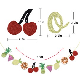 Glitter Twotti Frutti Banner y guirnalda de frutas, Two-tti Frutty Banner, Summer Fruit Decoración de fiesta de cumpleaños (colorido)