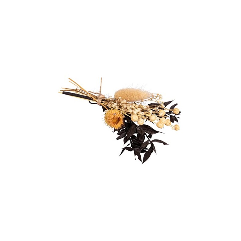 Rayher Mazzo di fiori secchi, nero, 18-20cm, bus.blis. 1pz, 85491576