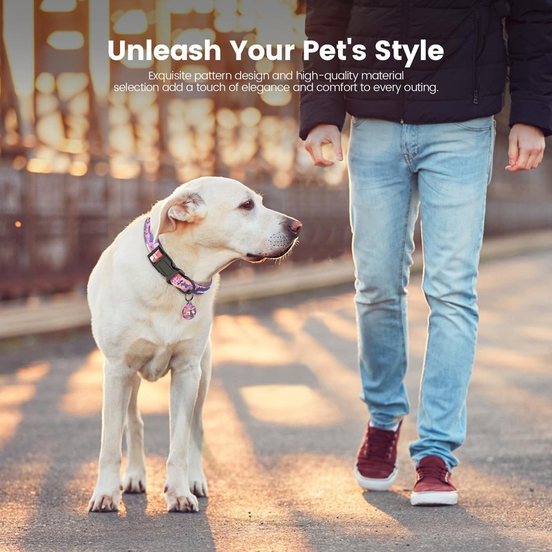 Pawview Dog Collar with Smart QR Code ID Tag –