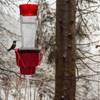 Hummingbird Feeder Heater for Winter, Heated Hummingbird Feeders for Outdoors,
