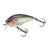 Yo-Zuri R1352-RBG: 3Db Crank 1.5 Squarebill (F) 60Mm 2-3/8", Real