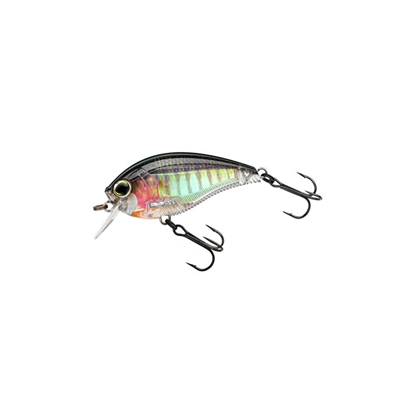 Yo-Zuri R1352-RBG: 3Db Crank 1.5 Squarebill (F) 60Mm 2-3/8", Real