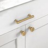 Asidrama 10 Pack 3.75 Inch(96mm) Champagne Bronze Kitchen Cabinet Handles,