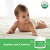 Hyland's Baby Organic Chest Rub, Soothe and Comfort, with Organic