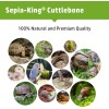 Sepia King - Extra Large - 100% Natural Calcium Supplement