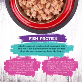 Inception® Wet Cat Food Fish Recipe – Complete and Balanced Cat Food – Legume Free Meat First Wet Cat Food – 12/13oz case