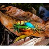 Rapala - Fishing bait BX Skitter Frog Construction balsa/plastic -