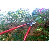 Corona SL 3310 Bypass Lopper, 24" Steel Handles, 1-1/2" Cut