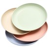 Wheat Straw Plate Set, Chip Resistant Plates (9 in, 4