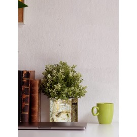 Serene Spaces Living Large White Birch Bark Vase with Glass Interior, Decorative Centerpiece, Rustic Accent Piece, Ideal for Natural Wedding Tablescape, Vintage Home Decor, 4.5" Diameter & 6.5" Tall