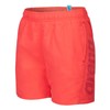 ARENA Boxer Mare da Bambino Fundamentals Logo R