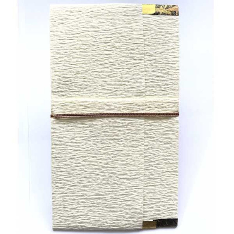 Frontier Special Gift Envelope for Money