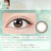 Colorcon TOPARDS Topaz Rino Ishihara Sashi One Day 10 Pieces