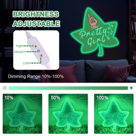 AKA Neon Sign, Greek Sorority 1908 Neon Lights with Ten Brightness Settings for Birthday Gfits Party Decor Bedroom Pub Graduation Club Wall Art Sorority Gifts (Green)