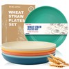 Perlapoc Wheat Straw Plates, 9 in Deep Dinner Plates Set