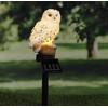 HI 70209 LED Solar Garden Stake Owl
