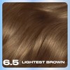 Clairol Nice 'n Easy Permanent Hair Color, 6.5 Lightest Brown,