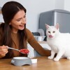 Cat Wet Food Spoon 4 Pcs Dog Cat Spoon Stainless