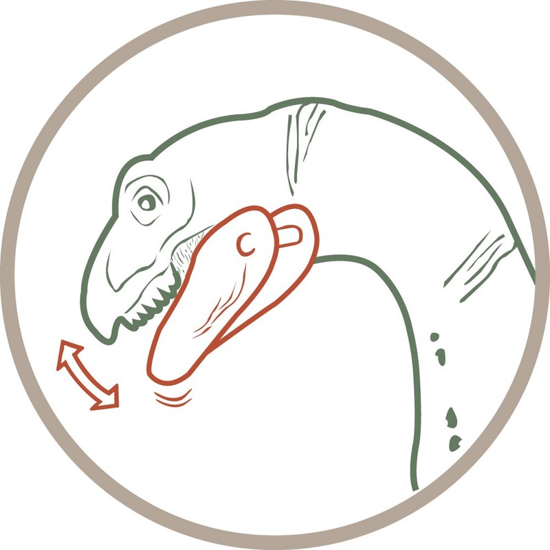 Schleich Therizinosaurus Action Figure