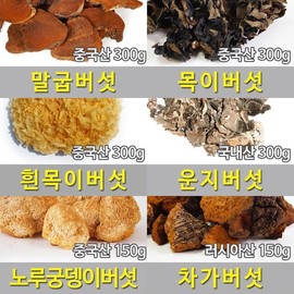 말굽버섯 목이버섯 운지버섯 노루궁뎅이버섯 차가버섯 Mushroom Blend: Maitake, Shiitake, Lion's Mane, Chaga