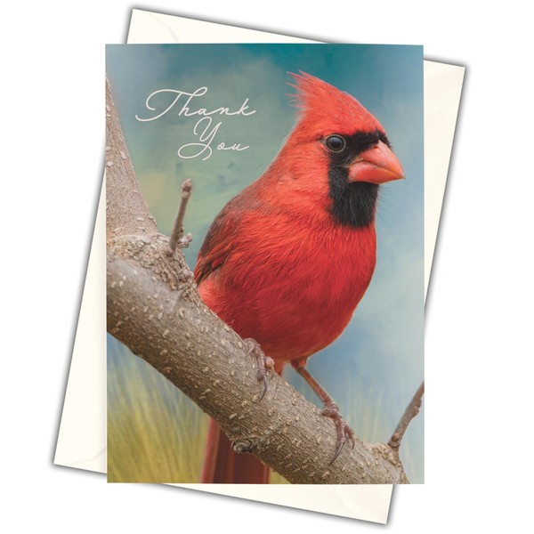 MPC Brands Funeral Thank You Cards - Sympathy Bereavement Thank