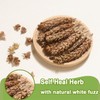 TEARELAE - Self Heal Herb - Natural Prunella Vulgaris, 2oz/56g