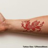 Azeeda Large 'Welsh Dragon' Temporary Tattoo (TO00041064)