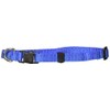 Fancypets TX44106 Juego Correa/Collar Acanalado, Talla Chica