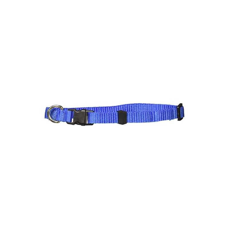 Fancypets TX44106 Juego Correa/Collar Acanalado, Talla Chica