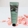 Artbox /Herb Story The Herb Story High Moisturizing Hand Cream Jasmine 50ml / /허브스토리 더허브스토리 고보습 핸드크림 자스민 50ml
