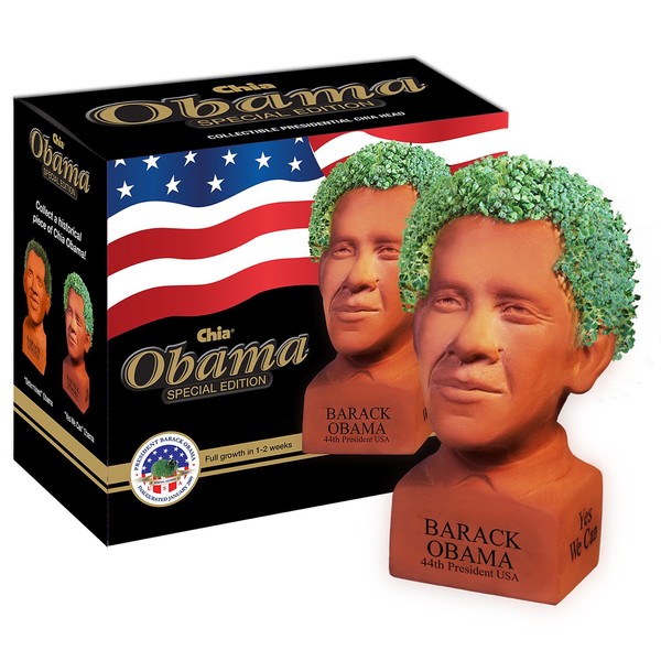 Chia Pet Determined Pose Obama with Seed Pack, Decorative Pottery Planter, Easy to Do and Fun to Grow, Novelty Gift, Perfect for Any Occasion