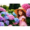 50 Pcs Mixed Blue Hydrangea Seeds Giant Snowball Hydrangea Non