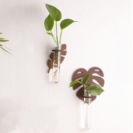 2 Pack Plant Propagation Station Wall Hanging Wooden Leaf Plant Terrarium for Hydroponics Home Office Decor Test Tube Propagate Air Plant Cutting Holder