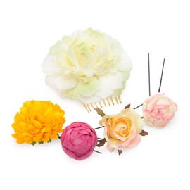 Hair Ornaments U-pins/ Combs, Set of 5, Flower and Buds -