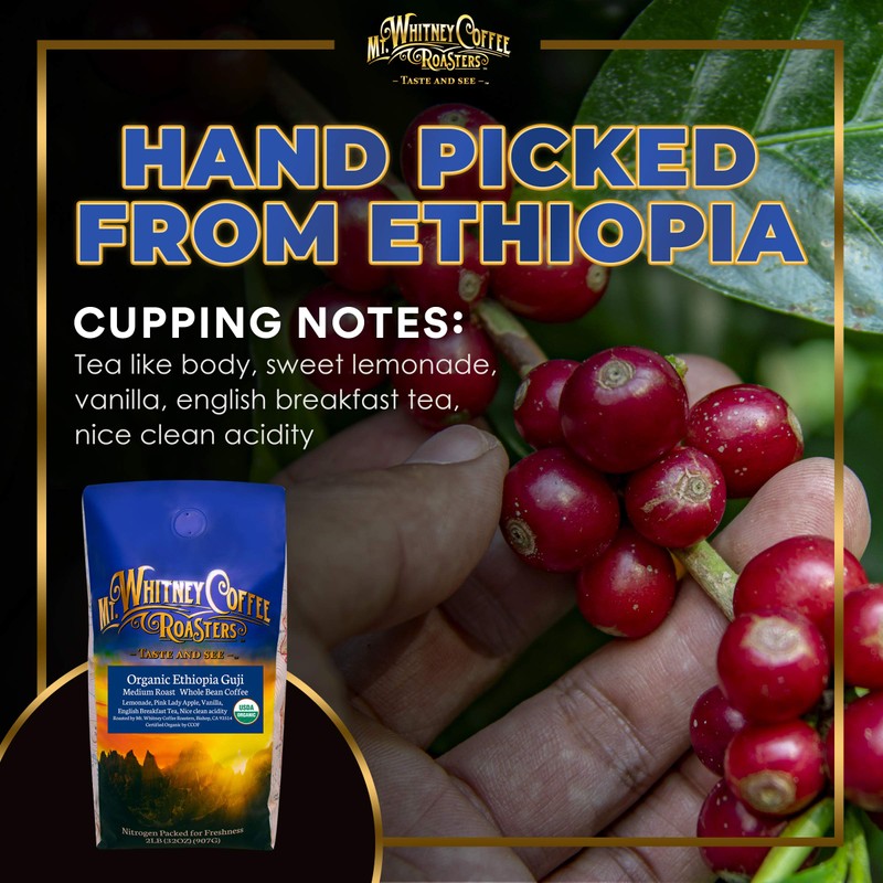 Mt. Whitney Organic Ethiopia Guji Coffee (Whole Bean, 2 Lb)